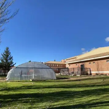 proyectos-realizados-construccion-de-invernaderos-Instalación Invernadero Túnel​